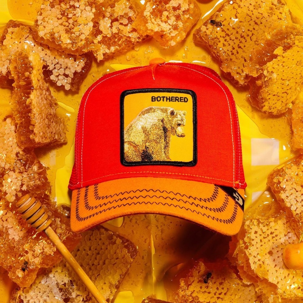 ⭐️NIB Limited Edition Goorin Brothers “Bothered” Pooh Bear Trucker Hat⭐️